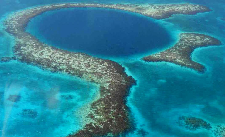 endangered-coral-reef-barrier-of-australia