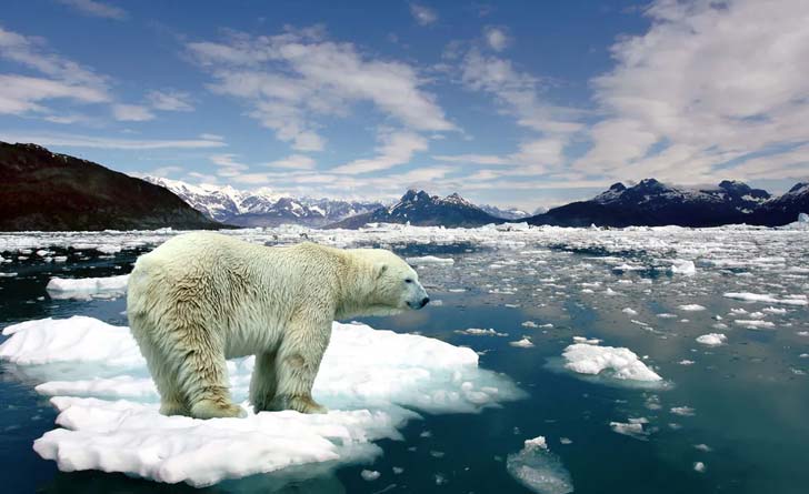 melting-ice-caps-of-arctic-region