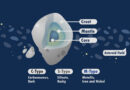 asteroid-types